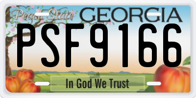 GA license plate PSF9166