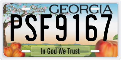 GA license plate PSF9167