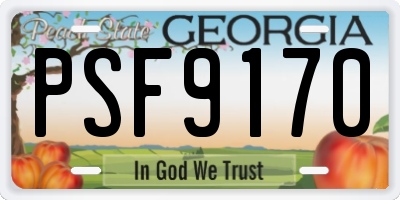 GA license plate PSF9170