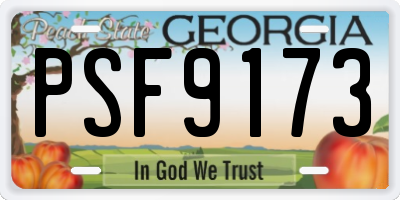 GA license plate PSF9173