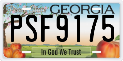 GA license plate PSF9175