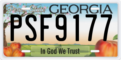 GA license plate PSF9177