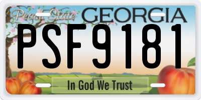 GA license plate PSF9181