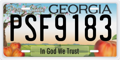 GA license plate PSF9183