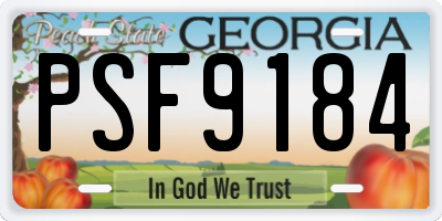 GA license plate PSF9184