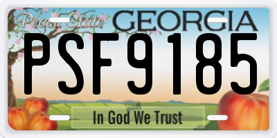 GA license plate PSF9185