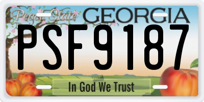 GA license plate PSF9187
