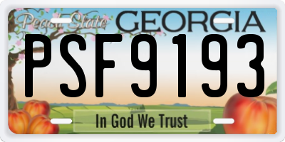 GA license plate PSF9193