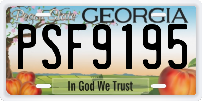 GA license plate PSF9195