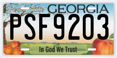 GA license plate PSF9203