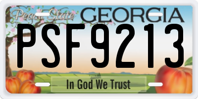 GA license plate PSF9213