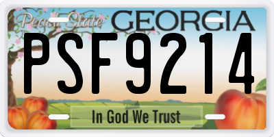 GA license plate PSF9214