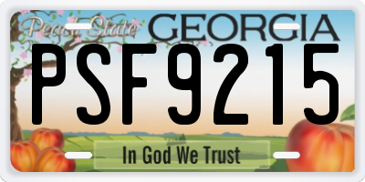 GA license plate PSF9215
