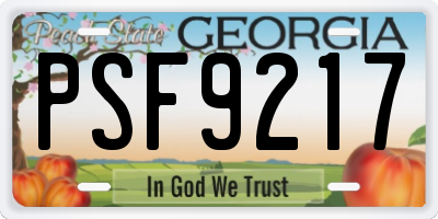 GA license plate PSF9217