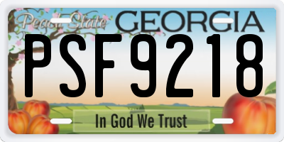 GA license plate PSF9218