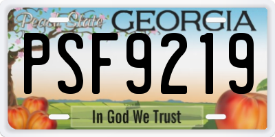 GA license plate PSF9219