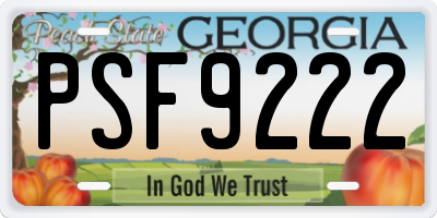 GA license plate PSF9222