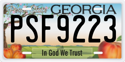 GA license plate PSF9223