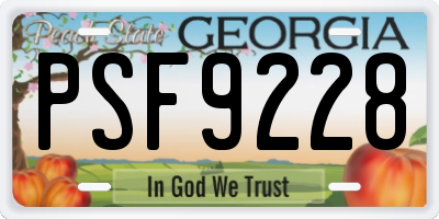 GA license plate PSF9228