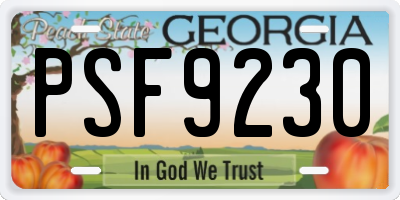 GA license plate PSF9230