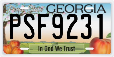 GA license plate PSF9231