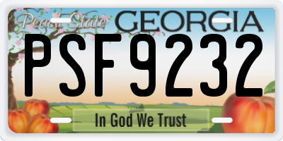 GA license plate PSF9232