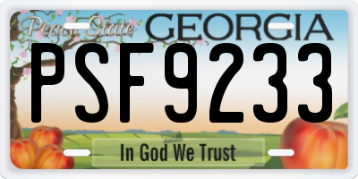 GA license plate PSF9233