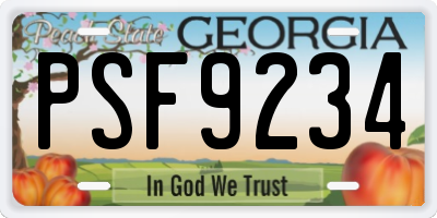 GA license plate PSF9234