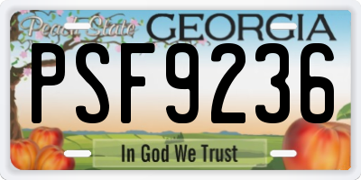 GA license plate PSF9236