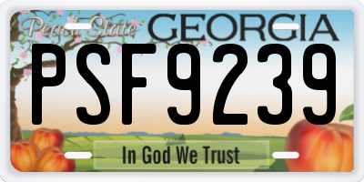GA license plate PSF9239