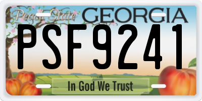 GA license plate PSF9241