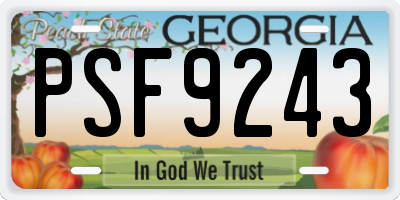 GA license plate PSF9243