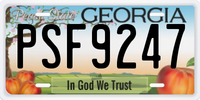 GA license plate PSF9247