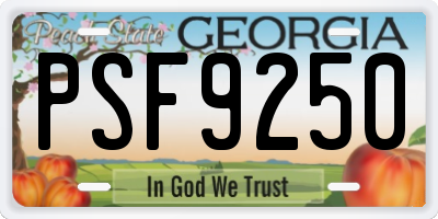 GA license plate PSF9250