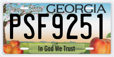 GA license plate PSF9251