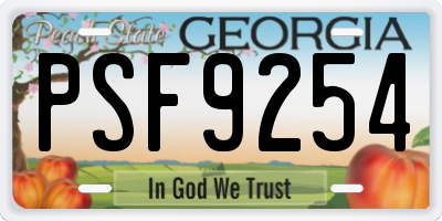 GA license plate PSF9254