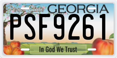 GA license plate PSF9261