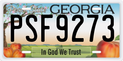 GA license plate PSF9273