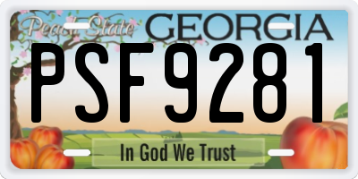 GA license plate PSF9281