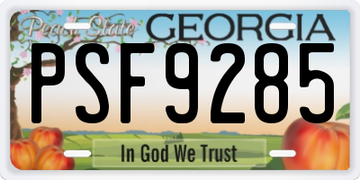 GA license plate PSF9285