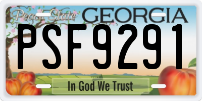 GA license plate PSF9291