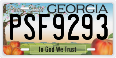 GA license plate PSF9293