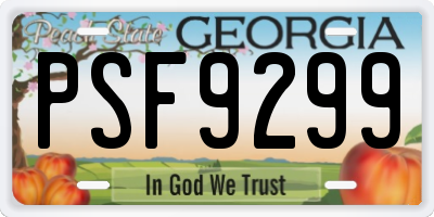 GA license plate PSF9299