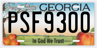 GA license plate PSF9300