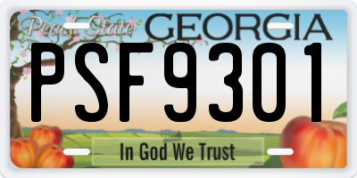 GA license plate PSF9301