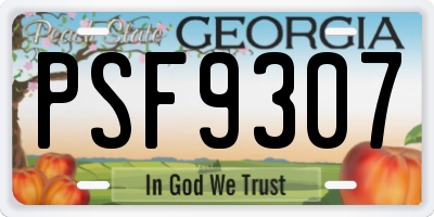 GA license plate PSF9307