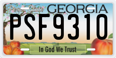 GA license plate PSF9310