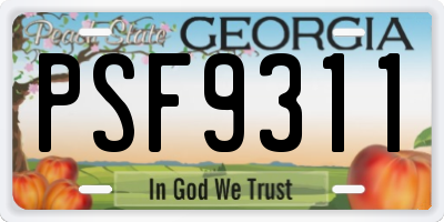 GA license plate PSF9311