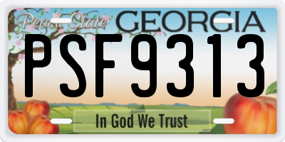 GA license plate PSF9313