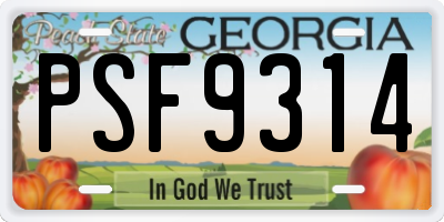 GA license plate PSF9314
